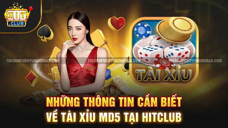 Những thông tin cần biết về tài xỉu MD5 tại Hitclub